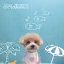 그루머공간 이미지