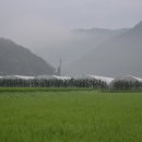 오미마을 이미지