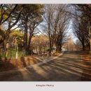 산성의 아침 이미지