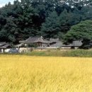 상주 김준신의사 제단비 이미지