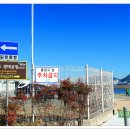 을숙도 생태공원 이미지