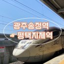 지제역(SRT) | <광주송정역> 평택지제역까지 SRT 탑승 후기