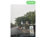 창원법원어린이집 | 🍓 창원 유치원 컵과일 단체주문 후기｜어린이집 간식·유치원 행사간식은 이끌림푸드 🍊