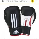 가오복싱클럽 이미지