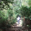 장천재체육공원 이미지