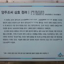 양주조씨 삼효 정려 이미지
