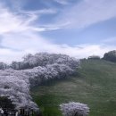 한우목장 이미지