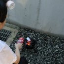 보스케토 삼동 이미지