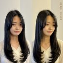 로아비헤어 연산시청점