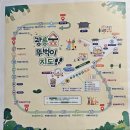 통기타(1년) | 단상(斷想) 393. 칼립소 통기타 공연(광릉숲 축제) 직관 후기
