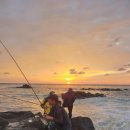 보담애월 이미지