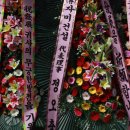 태려
