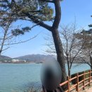 UR(경주시)-[경감로]-상-22 | 3월 경주여행/경주 꽃구경/경주 맛집 추천/경주 인스타맛집 TOP3/신라제면&amp;용산회식당&amp;오스테리아밀즈