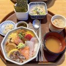 (주)모루 | 대구 동구맛집 모루 청모하기 좋은 일식당 동대구혼밥 혼술 식당 추천