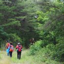 향호소공원화장실 이미지