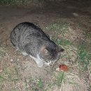 (주)코리아세븐 송탄장안점 | 23&#39; 3월 기록