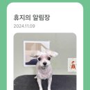 퐁퐁파피 이미지