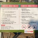 두물머리IC캠핑장 이미지