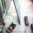 문수리이야기 이미지