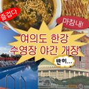 (주)한강식품 | 여의도 한강 수영장 야간개장 총정리!(주차, 준비물, 음식물반입규정, 내부간식 등)