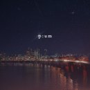 피움(P.um) 네이버블로그