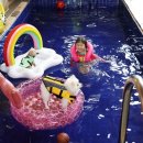 내품애동물병원 이미지