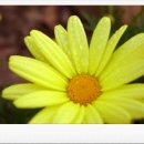 서울-삼동-삼동02 이미지