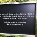 인천 장미공원 서곶 자율방범 기동순찰대 무궁화 동산 이미지