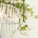 일상 속 캘리그라피 이미지