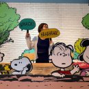 제주특별자치도장애인총연합회 | [공지] 제주 스누피가든 할인 정보 | 비 오는 날 갈만한곳! 실내+야외 후기