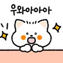 아나카페고래