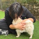 빅독 | [260221 빅독 포레스트] 세번째 봉사, 첫번째 후기