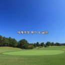 늘푸른 골프 이미지