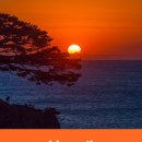 강릉미송 공인중개사사무소 이미지