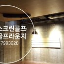 보보스크린골프 이미지