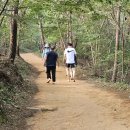 황방산 맨발걷기 이미지