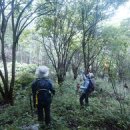 평리 마을회관 이미지