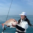 다참컴퍼니 이미지