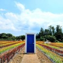 선흘 정원 이미지