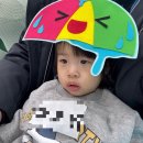 서구영어도서관 | [아기 문화센터 영어 오감놀이] 서구어린이영어도서관 2025 영어 특화 프로그램