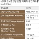 개미기획 이미지