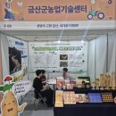 금산