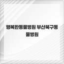 행복한동물병원 | 행복한동물병원 부산북구동물병원