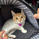 묵동-055 이미지