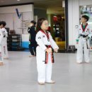 한미태권도 이미지