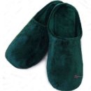 그린(224) 이미지