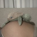 오다니 | 나에게 아기가 진짜로 오다니?(출산 후기)