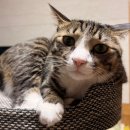 대한유통 | 2025 유통관리사 2급 3회차 합격 후기 (2트 합격)