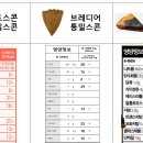 브레디어 티스토리
