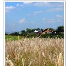 (주)우리엔 서울 이미지